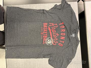 Toronto raptors