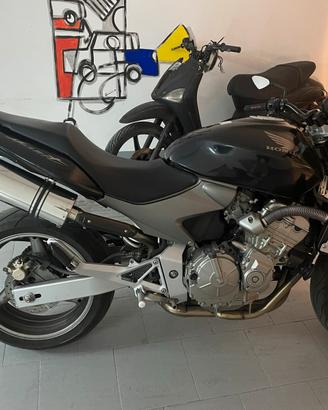 Honda hornet