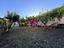 Immagine 26