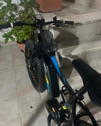 bicicletta