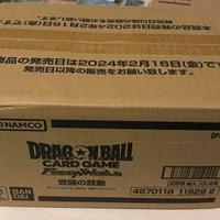 Case FB01 JAPAN