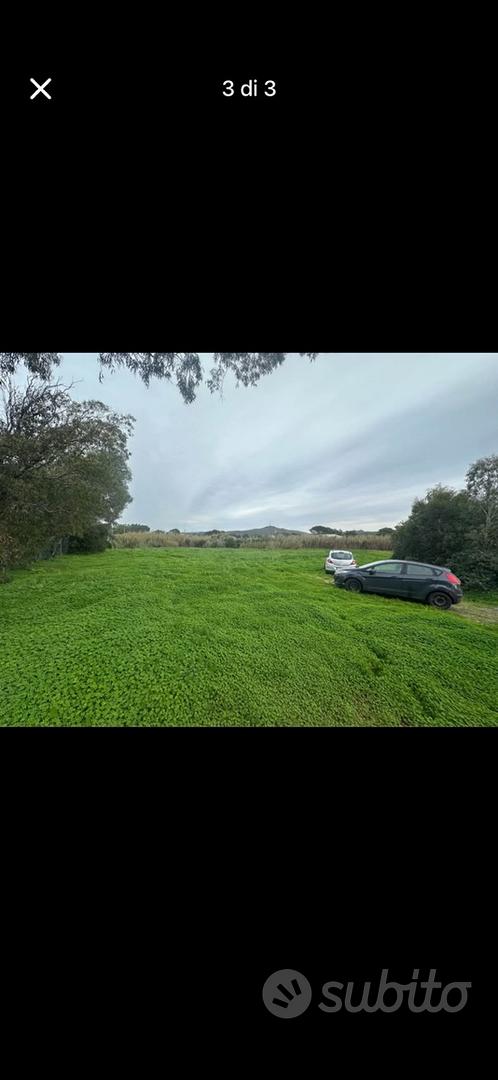 TERRENO AGRICOLO - Vista 3