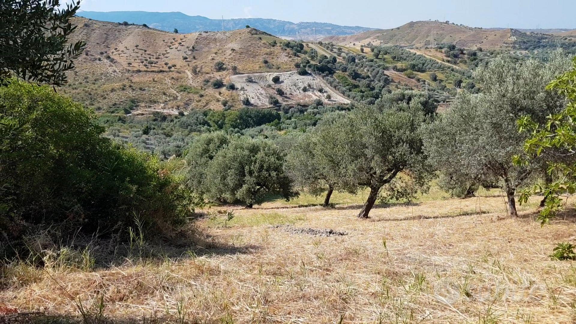 Terreno agricolo di 4000 mq a monasterace - Vista 4