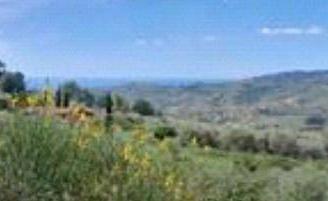 Immobile in asta di 5290 m² a Imperia