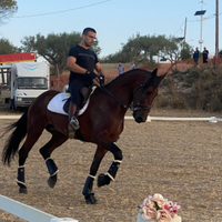 Andaluso