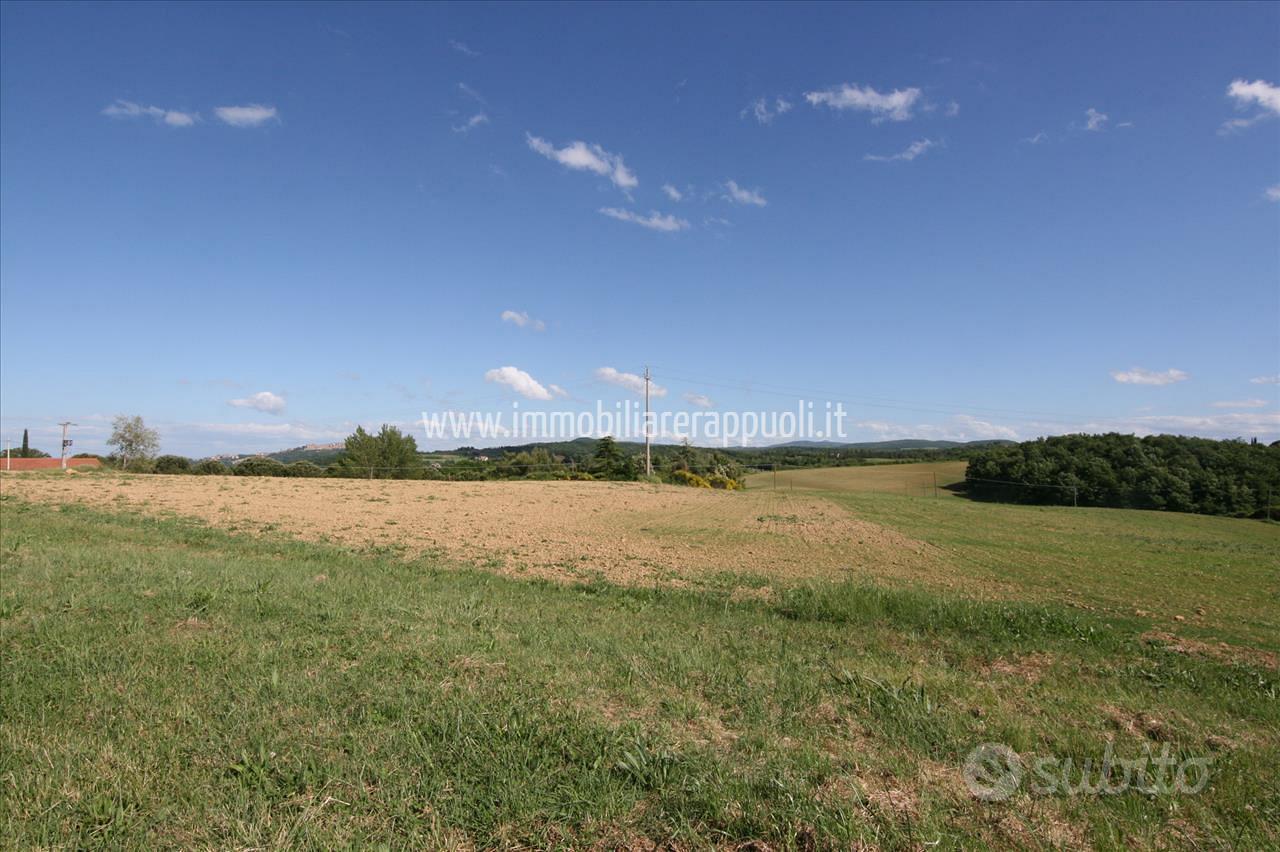 TR107 - Pienza 21 ha di terreno seminativo - Vista 4