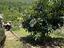 Immagine 28