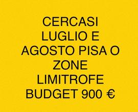 Luglio agosto pisa e zone limitrofe