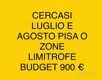 Luglio agosto pisa e zone limitrofe