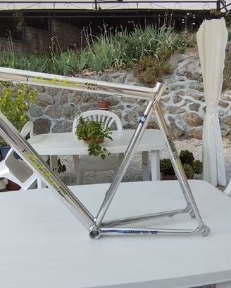 telaio bici da corsa colibri