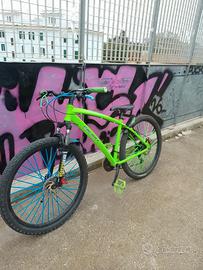 bici mtb/wheellie 