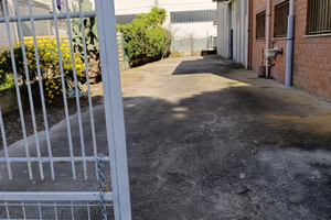 Capannone 250 mq con cortile Marina Grosseto