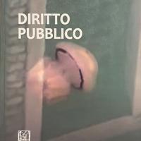 Libro Diritto Pubblico Bin Pitruzzella