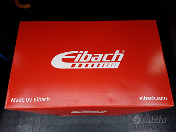 Molle ribassate Eibach Skoda Fabia SW