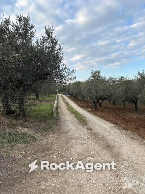 Rustico / Casale di 81 m² con 3 locali a Moscufo - Altro