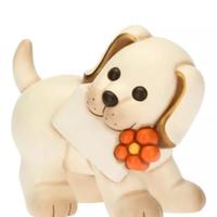 thun cane personalizzabile