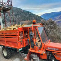 Trattore Goldoni Transcar 35RS