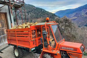 Trattore Goldoni Transcar 35RS