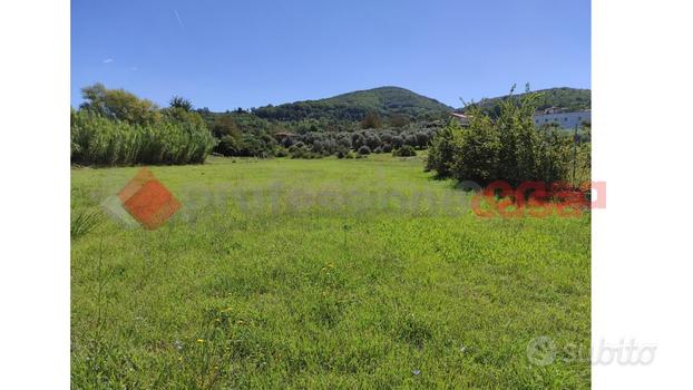 Terreno Residenziale Arpino [cod. rif5995835VCG]