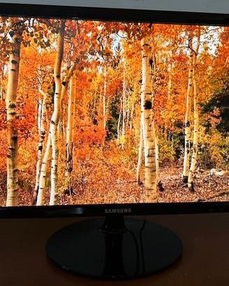 Monitor Samsung S24D330H