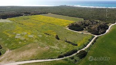 Terreno a 600 m dal mare Mimoni - Seu