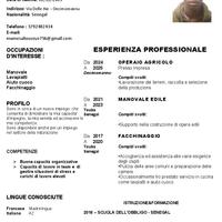 Manovale -Lavapiatti -Pulizie