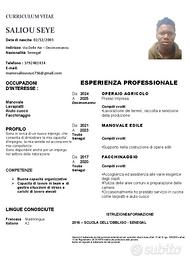 Manovale -Lavapiatti -Pulizie