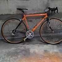 bici carriera 