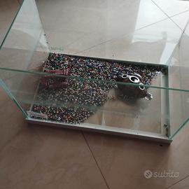 Vasca per pesciolini da 25 litri