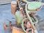 Immagine 5
