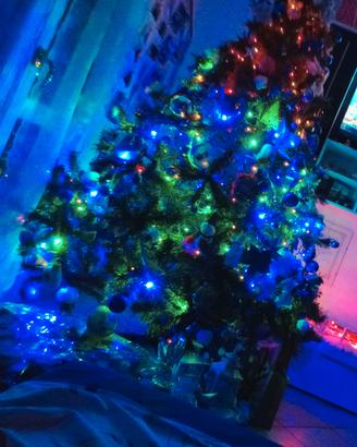 albero di natale 