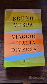 Bruno Vespa – Viaggio in un'Italia diversa