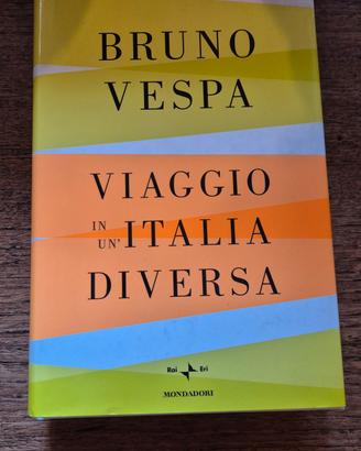Bruno Vespa – Viaggio in un'Italia diversa