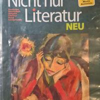 Libro NICHT  NUR LITERATUR Anna Frassinetti
