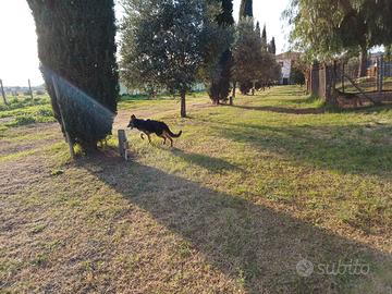 Casale PESCIA ROMANA A 3 KM DAL MARE