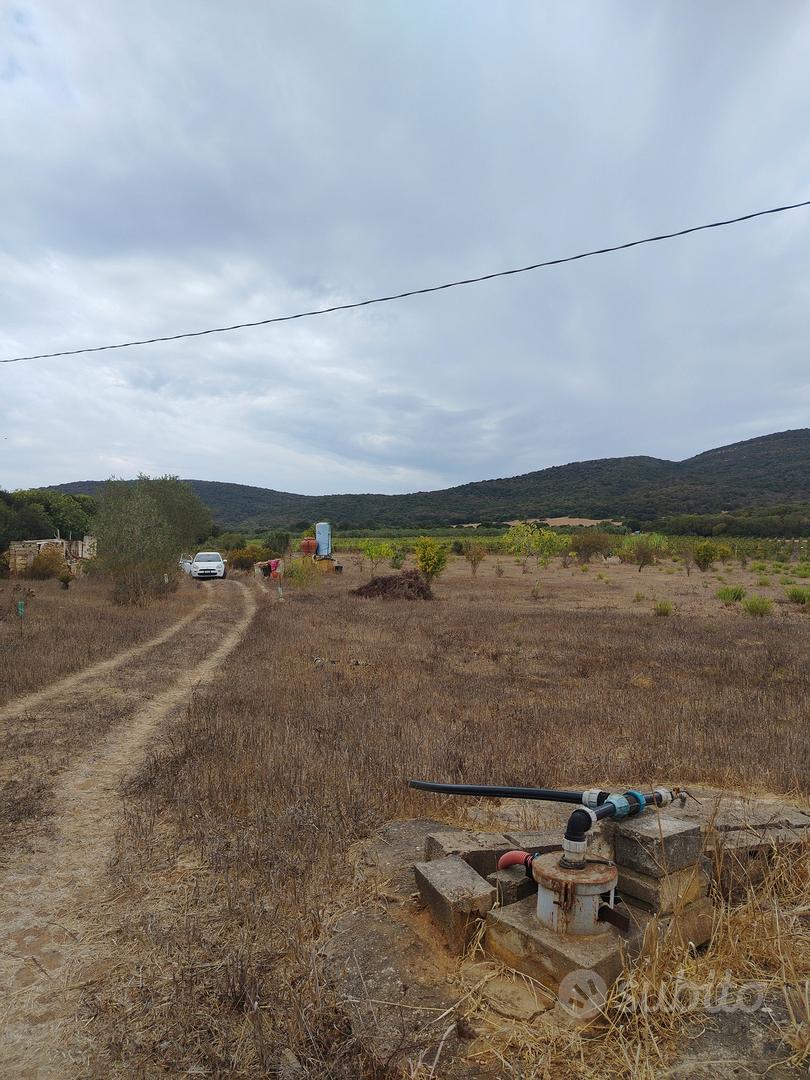 terreno agricolo - Vista 5