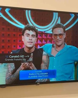 Smart TV LG 49 Pollici