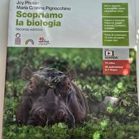 Libri per istituto tecnico commerciale Mattei