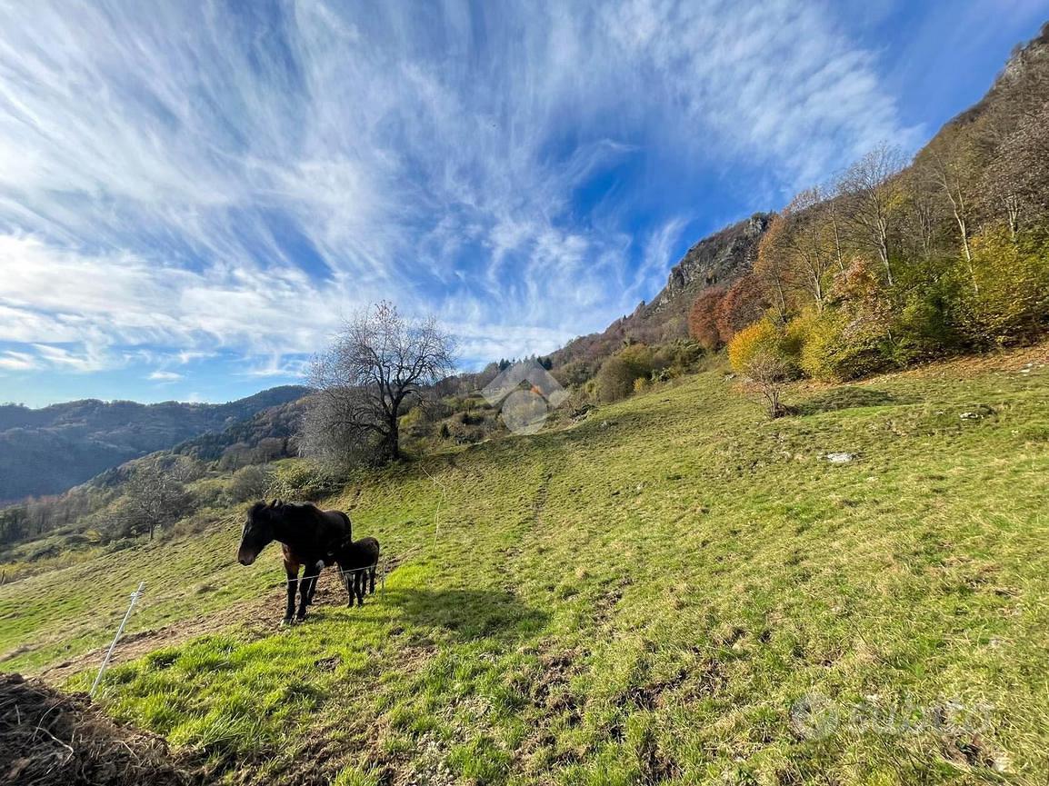 TERRENO A LAVENONE - Vista 4