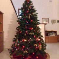 Albero di Natale con decorazioni.