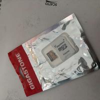 MICRO SD GIGASTONE 1TB