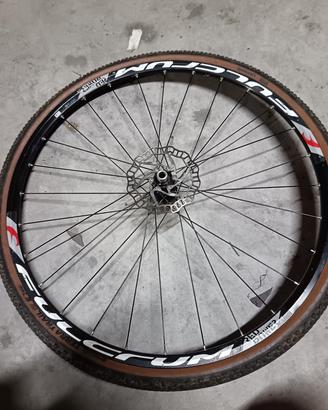 cerchi mtb
