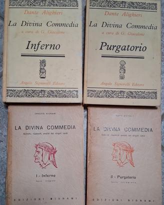Divina Commedia-Inferno e purgatorio