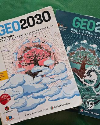 Geo2030. Vol 2
