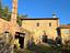 Immagine 7