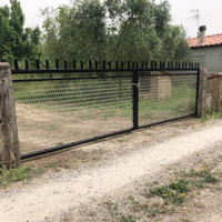 Terreno e oliveto