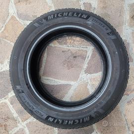 Coppia pneumatici invernali Michelin Pilot Alpin 5