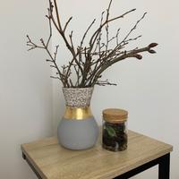 Terrarium piante 🌱