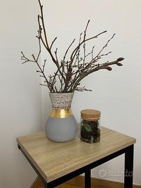 Terrarium piante 🌱