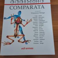 manuale anatomia comparata edi-ermes